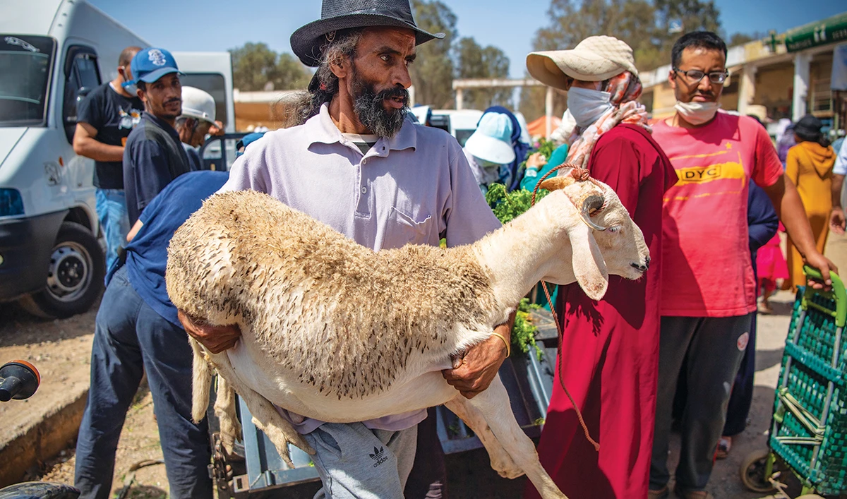 Hit by virus and drought, rural Moroccans tighten belts for Eid