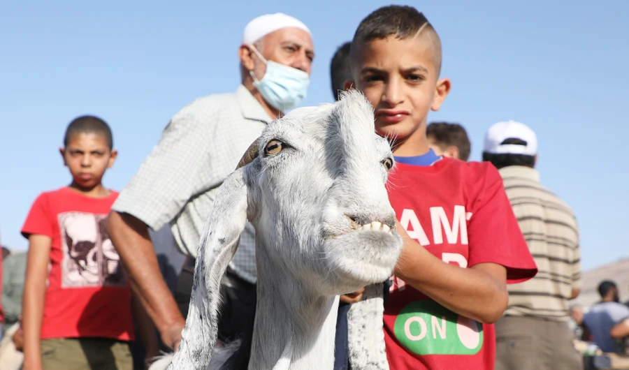 Palestinians at an animal market in Nablus, occupied West Bank, inspect goats for sacrifice on Thursday ahead of Eid Al-Adha. (AFP)
