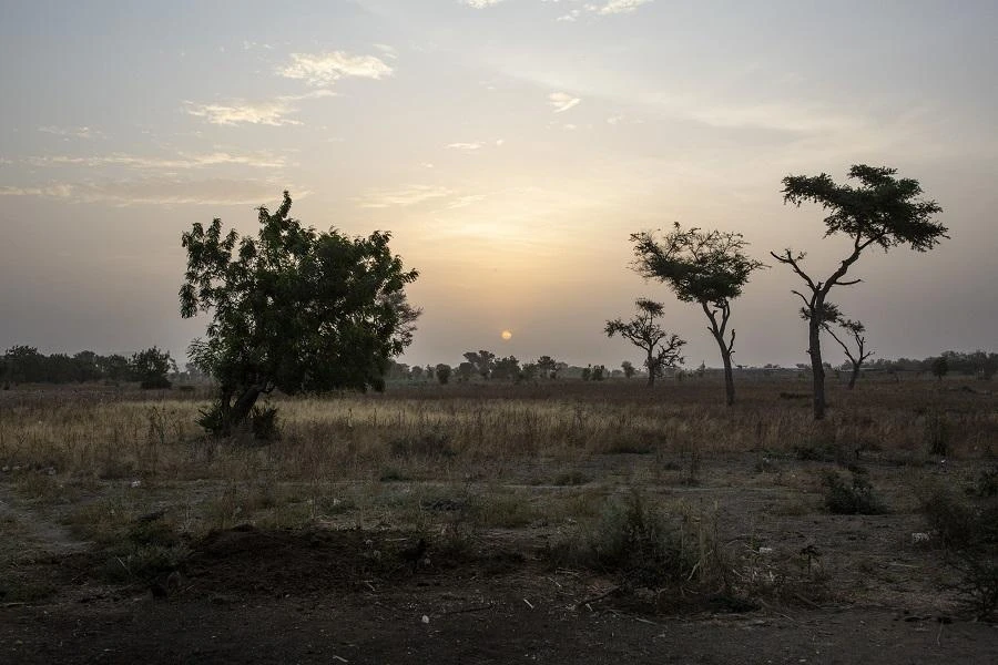 Suspected Boko Haram militants kill at least 13 in Cameroon