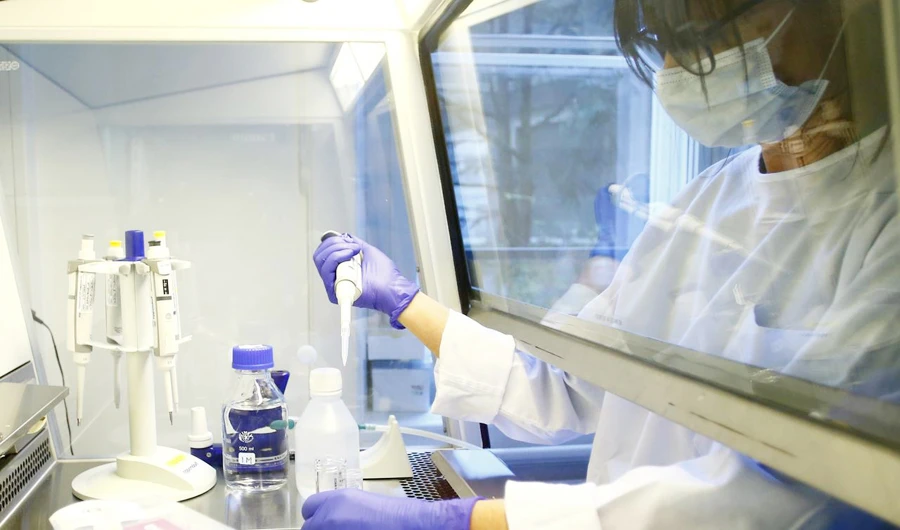 The CVT collaborates with Harvard Innovation Labs, the Massachusetts Institute of Technology Innovation Initiative, the COVID Foundation, and over 20 other organizations. (Reuters/File)