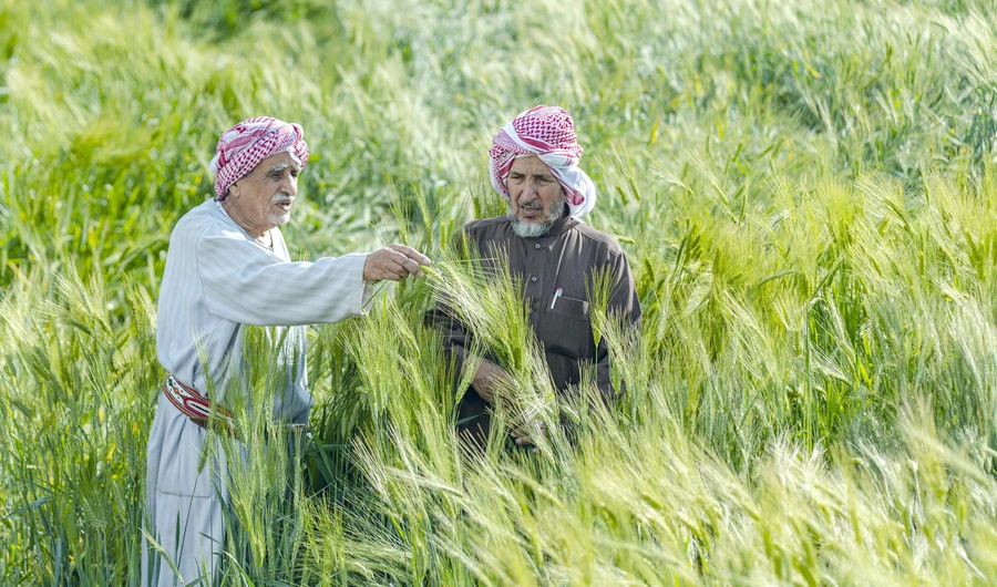 The ADF will continue supporting the agricultural sector to achieve food security in line with the Saudi Arabia’s agricultural policy. (SPA)