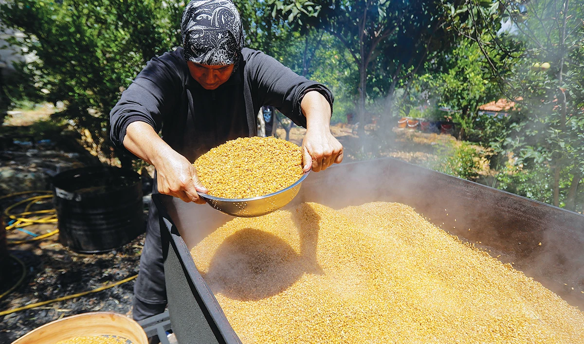 Fear of food shortages after Beirut explosion hits grain reserves