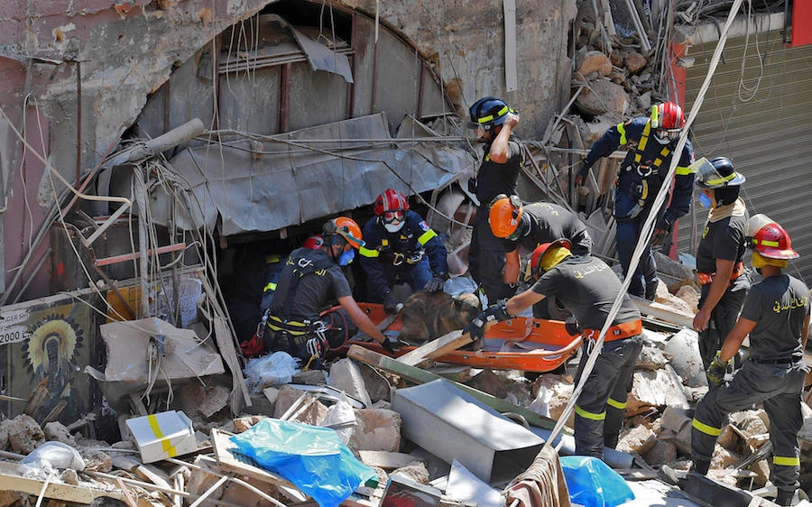 Members of the Lebanese civil defence use a dog to search for victims and survivors under the rubble of a building in the Gemayzeh neighbourhood on August 6, 2020. (AFP)