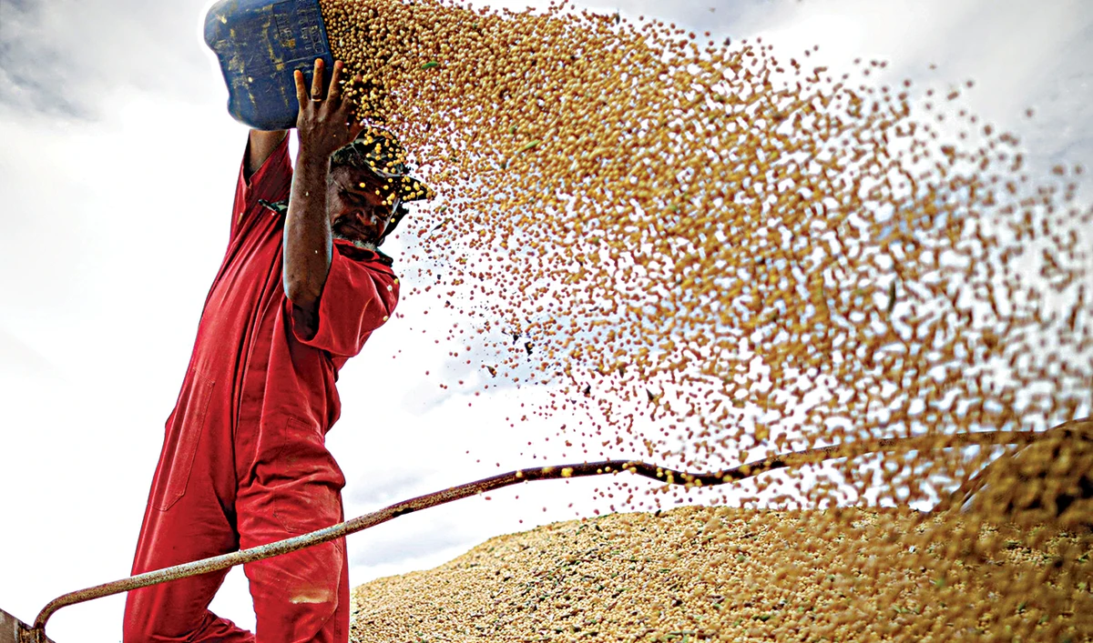 Despite agreement, China purchase of US agriculture lags