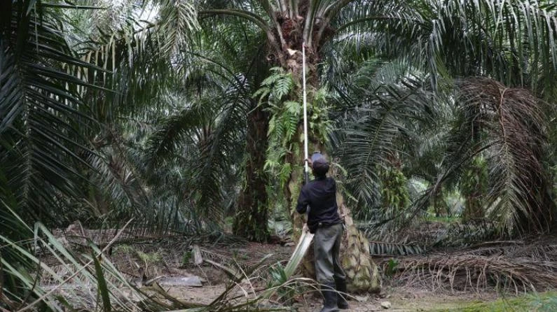 Malaysia to lift limit on hiring of foreign labor