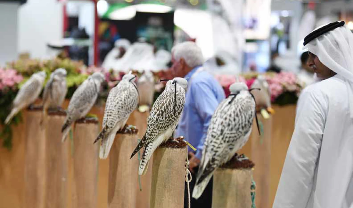 The ADIHEX exhibition attracts those interested in falconry, hunting and equestrian sports. The event will take place from Sept. 27 to Oct. 3, 2021.