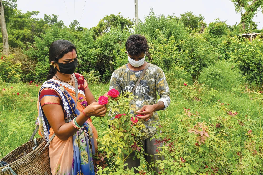 Amid India’s worst economic slowdown due to the spread of the COVID-19 pandemic smaller farmers are being shunned by banks as the high level of bad loans makes lenders more cautious. (AFP)