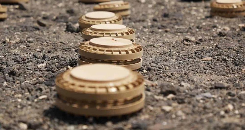 A total of 180,955 mines have been extracted since the beginning of the project. (SPA)