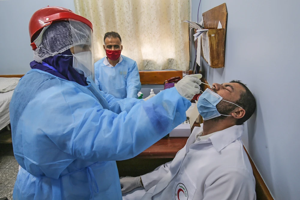 Warning over more animal-to-human disease outbreaks