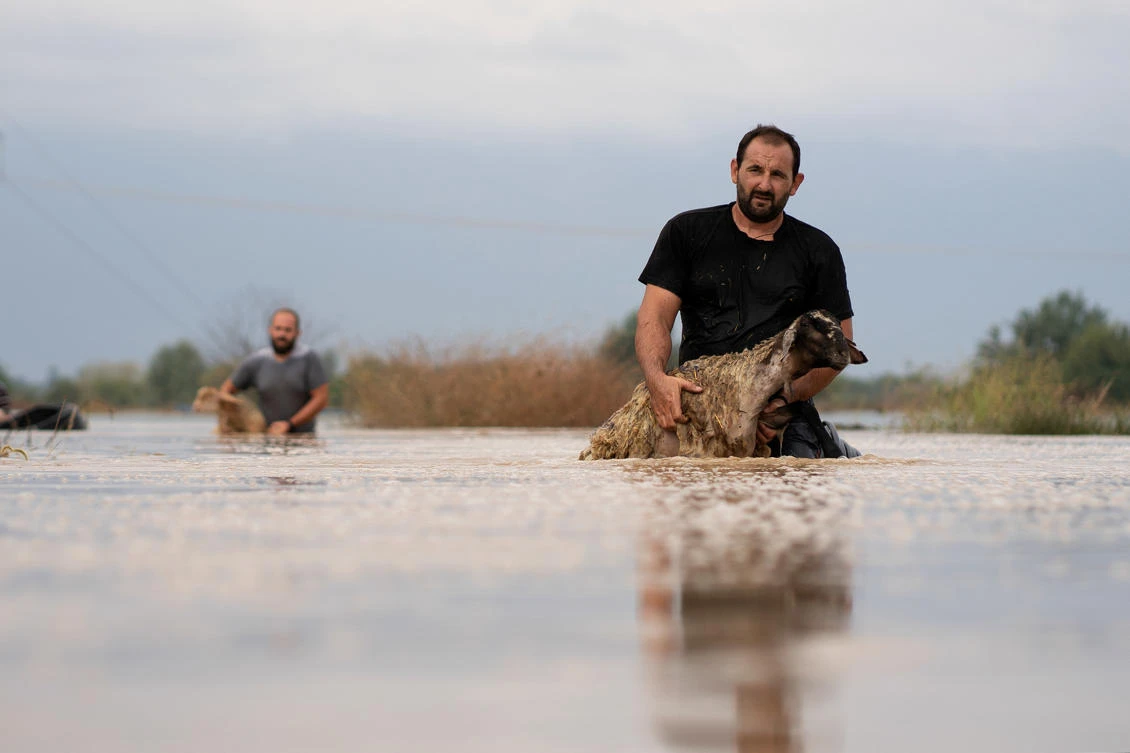 Sheep breeders save their animals from a flooded area, following a storm near the village of Megala Kalyvia, in central Greece, September 19, 2020. REUTERS/Giannis Floulis