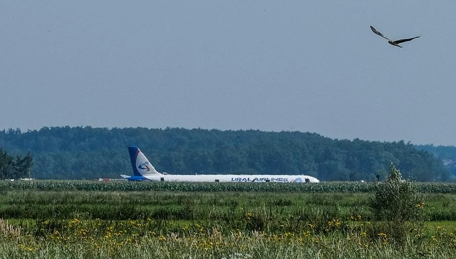 The government said it had authorized three flights a week to Cairo. (File/AFP)