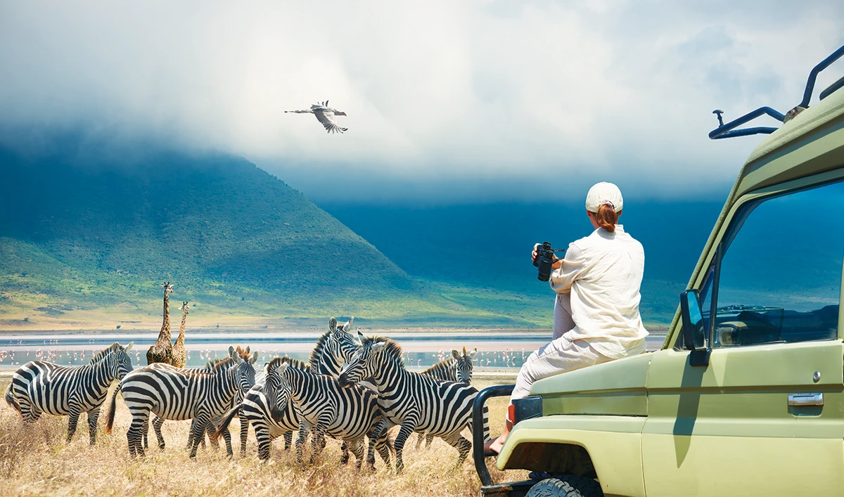 Coronavirus restrictions have shuttered what was once the lucrative centerpiece of African tourism, the safari. (Shutterstock)