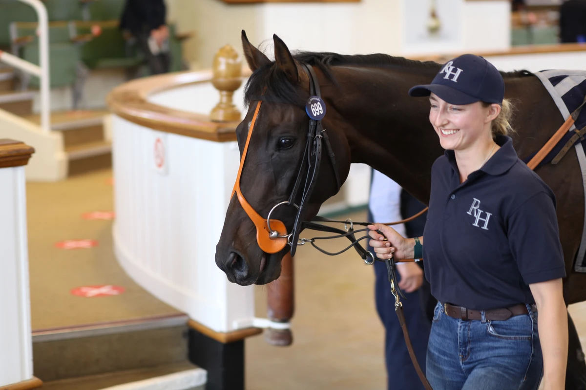 Top-priced Walkinthesand sold for 220,000 guineas at the Tattersalls August sale and will race in Saudi Arabia for the Riyadh-based Najd Stud (Photo: Tattersalls)