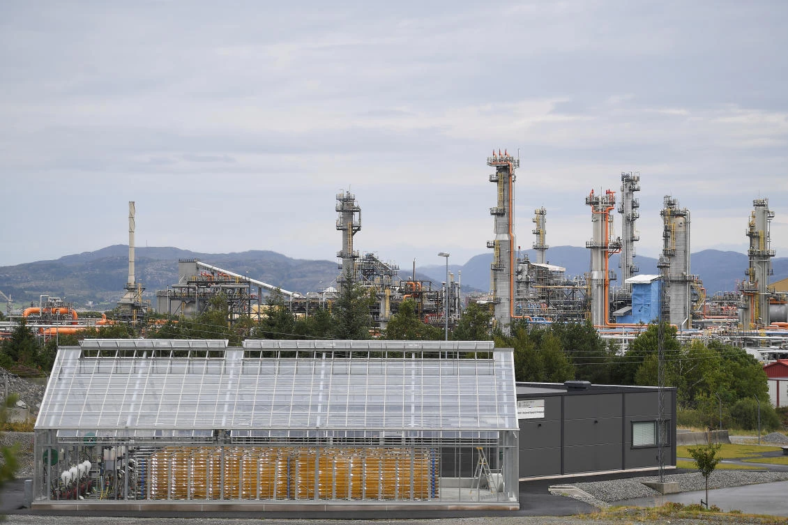 Greenhouse gases hit new record despite lockdowns, UN says