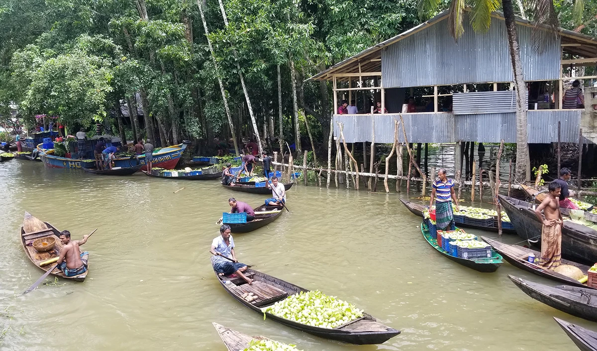 Floating guava market in Vimrul, Jhalakathi, a southern region district of Bangladesh, attracts fruit traders and tourists from across the country every day during monsoon season. (Photo by Shehab Sumon)