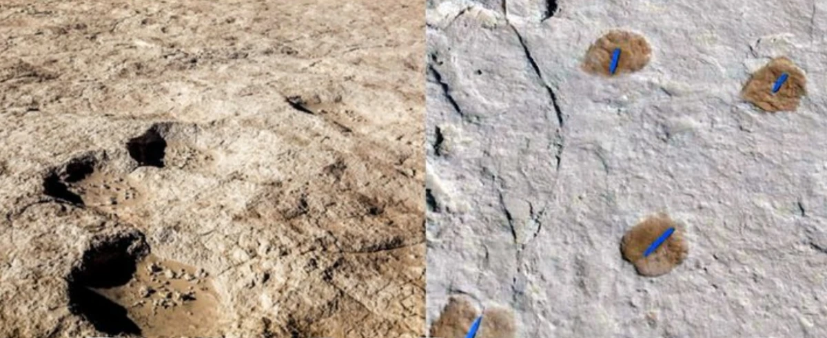 Archaeology team in KSA unearths earliest-known traces of humans on Arabian Peninsula