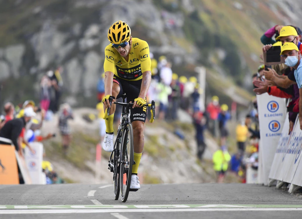 Roglic glimpses Tour de France triumph from Alpine peaks