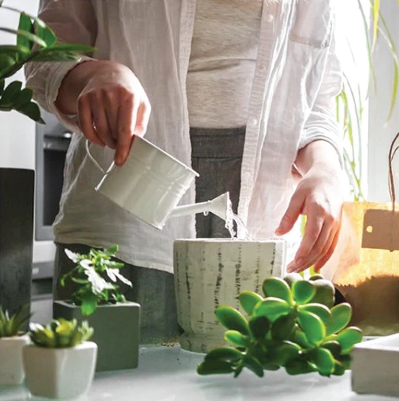 What We Are Doing Today: Box by Sara