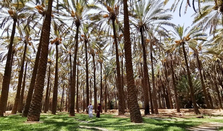 Saudi Arabia’s AlUla Dates Festival to begin on Oct. 2