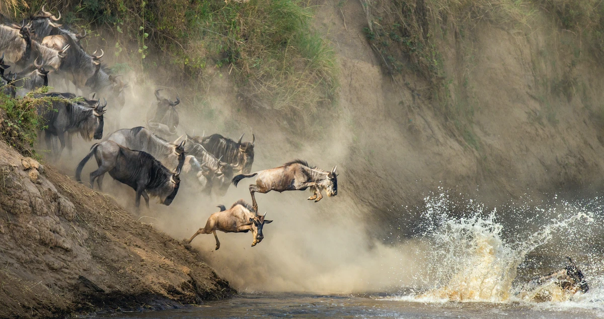 Kenya’s international borders reopened on August 1. (Shutterstock)