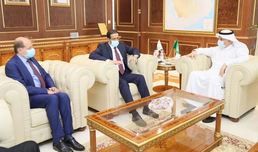 Saudi, Yemeni ministers ramp up fight against locust threat