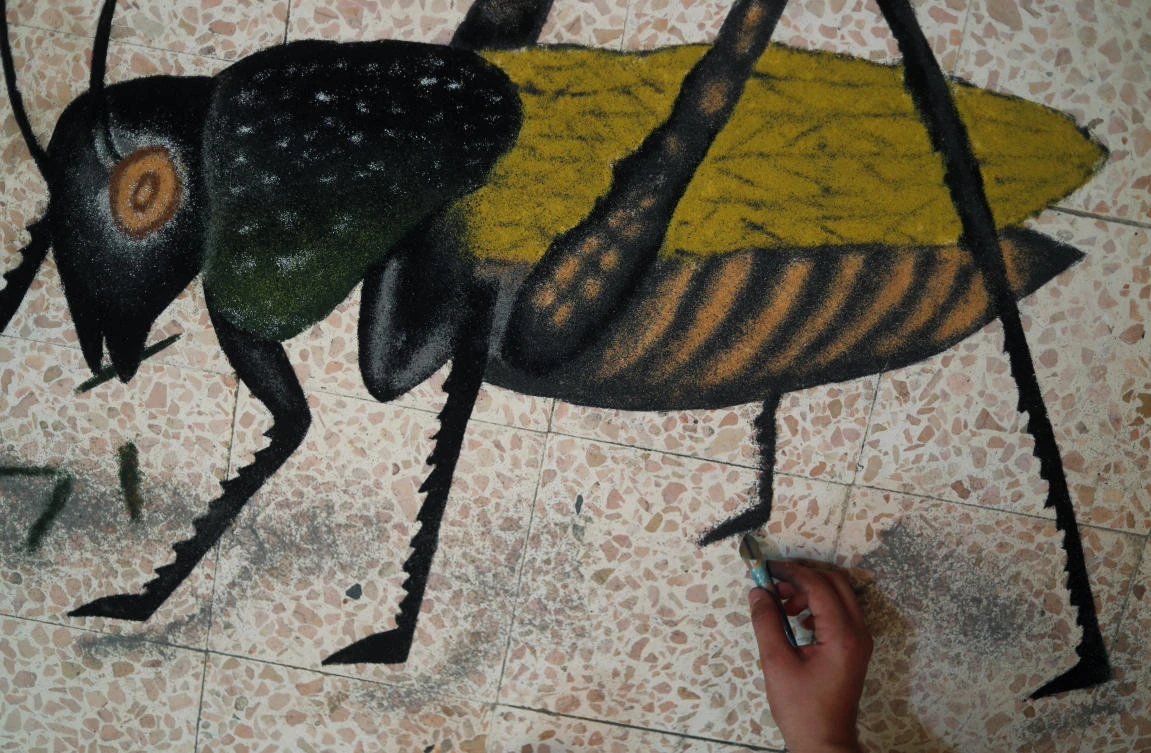 Egyptian artist crafts pictures with salt