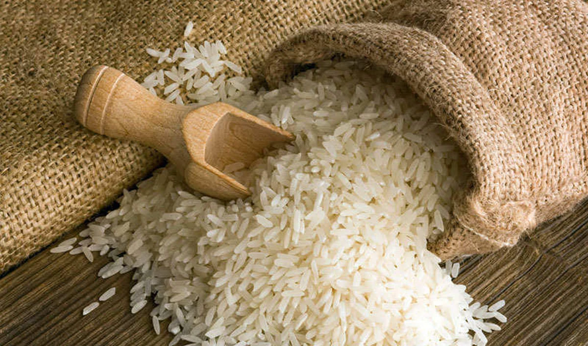 India’s application for GI at the EU for its basmati rice and grain faces rough sailing after Pakistan said it would challenge the move.