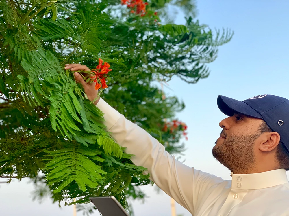 Ready, steady grow: Saudi tree-planting initiative seeks greener future for all