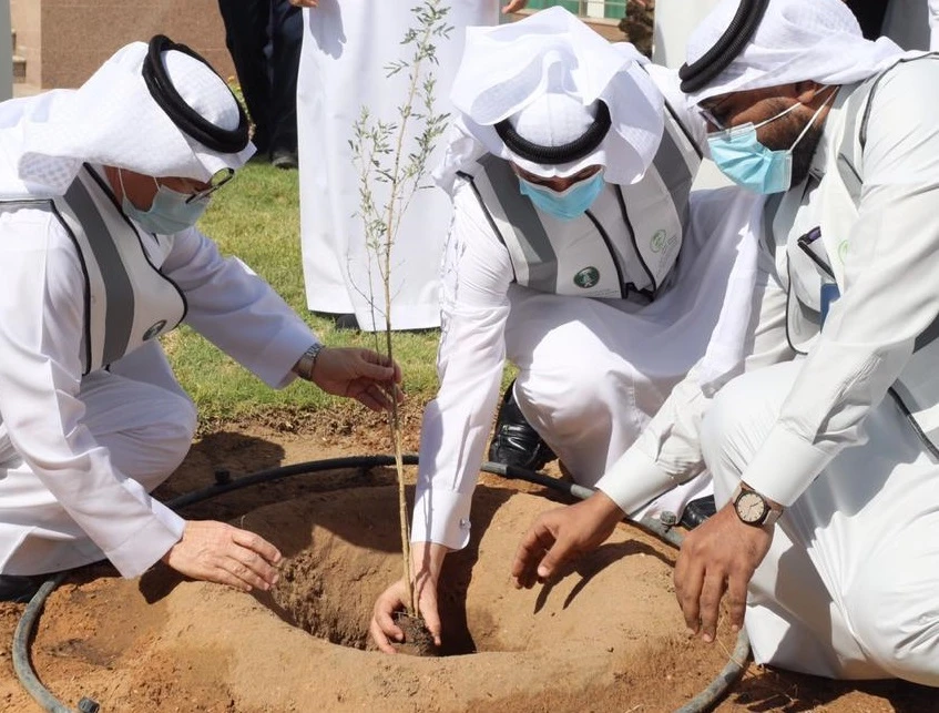 Saudi Arabia loses 120,000 hectares of trees every year through destruction and the logging industry. (Supplied)