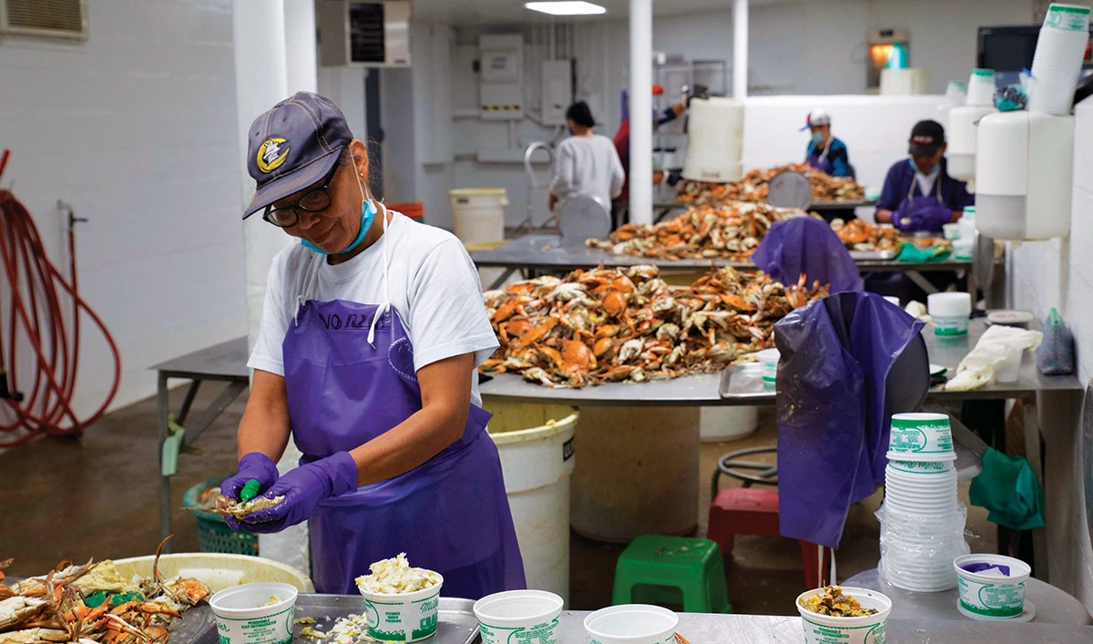 Immigration impasse, pandemic clobber US crab industry