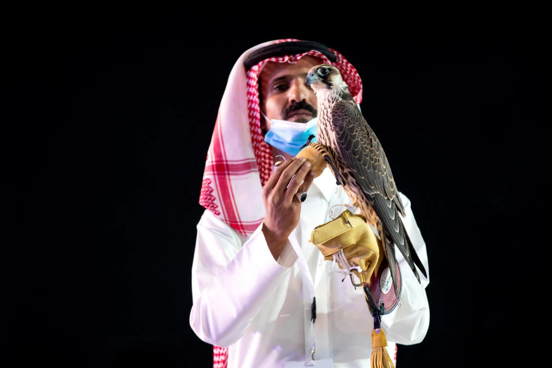 A Saudi man displays a falcon which was sold for SR650,000 (US$173284) during an auction at Saudi Falcons Club Auction in King Abdulaziz Festival in Mulham, north of Riyadh, Saudi Arabia, October 13, 2020, Picture taken October 13, 2020. (Media Center Saudi Falcons Club Auction via Reuters)