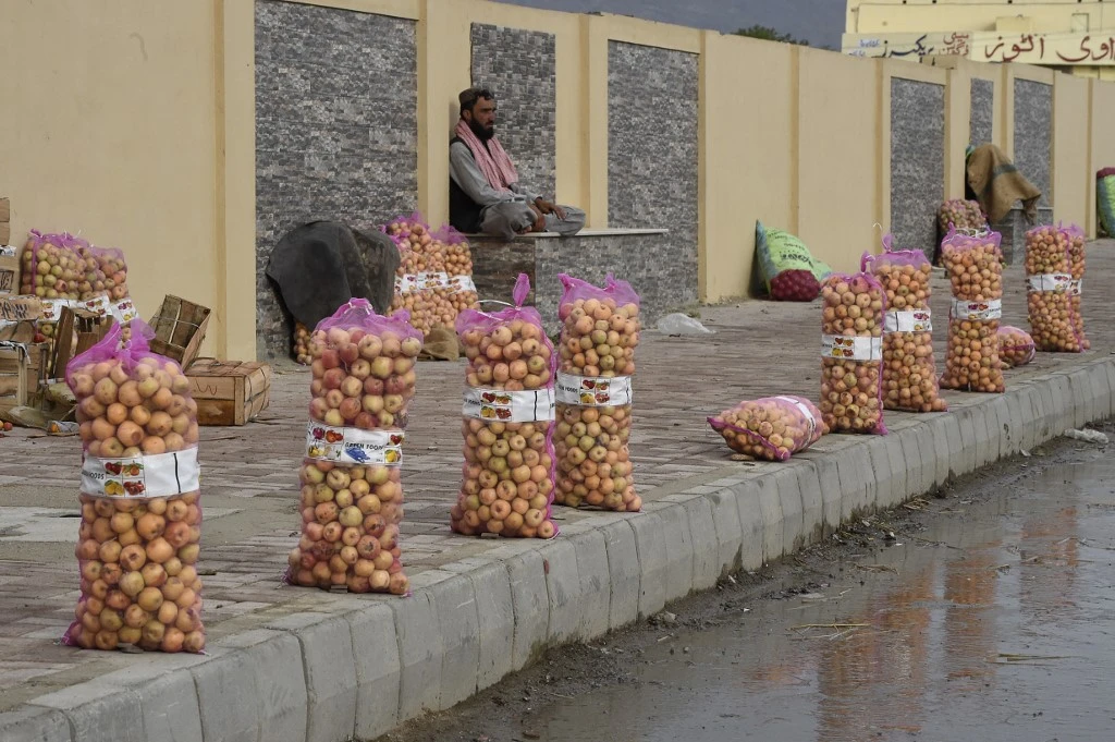 Illegally imported Iranian fruit upsets Pakistan apple cart