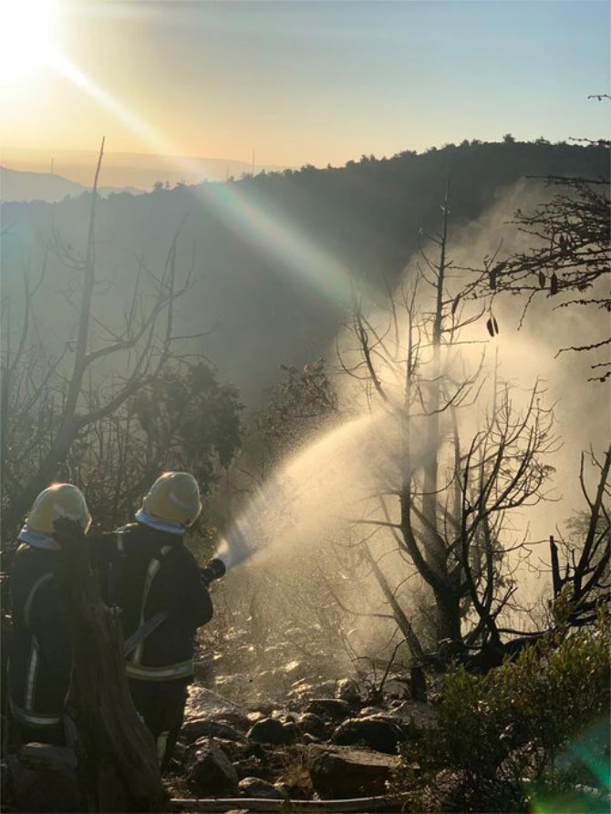 Saudi firefighters are seen at work at Al-Azizah Mountains in Alsouda Heights near Abha. (Photo courtesy of Saudi Civil Defense Directorate)