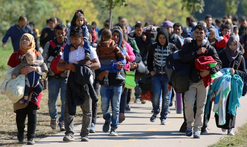 Czechs propose troops to protect Hungarian border
