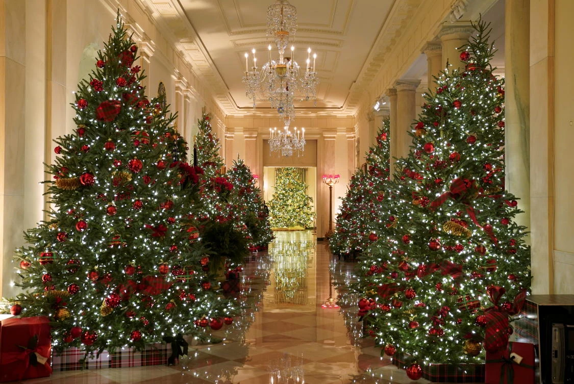 The Cross Hall of the White House is adorned with holiday decorations during a press preview in Washington, U.S., November 30, 2020. REUTERS/Kevin Lamarque