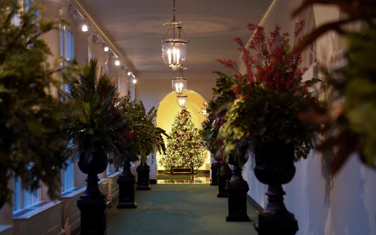 A tree adorns the East Wing during a Holiday decoration preview at the White House in Washington, U.S., November 30, 2020. REUTERS/Kevin Lamarque