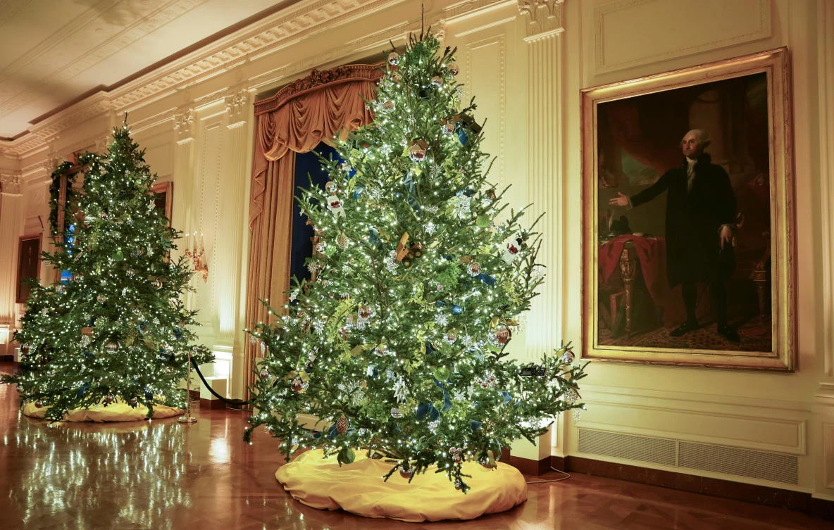 A painting of George Washington hangs beside Christmas trees in the East Room of the White House during a holiday decoration preview in Washington, U.S., November 30, 2020. REUTERS/Kevin Lamarque