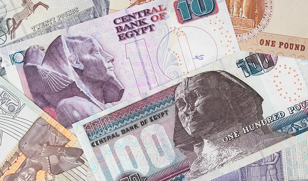 Egypt and Italy discuss third phase of debt swap program