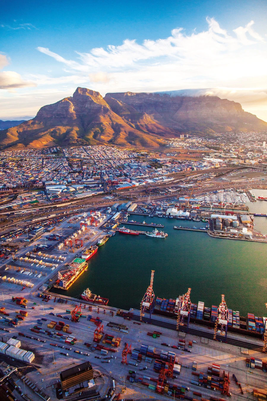 Resurgent South Africa joins Saudi Arabia on road to economic reform