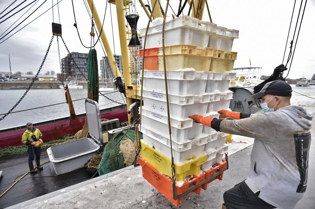 Combined with fish and shellfish processing, the fishing sector makes up 0.1 percent of Britain’s economy. (AFP)