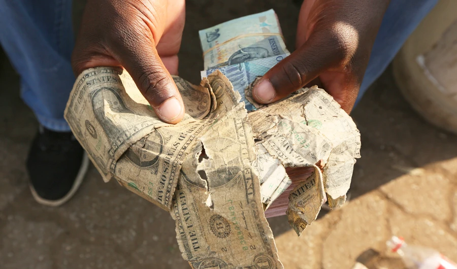 Worn out or shredded by rats, US currency is king in hard-hit Zimbabwe, where enterprising traders are repairing old notes for desperate customers. (AP)