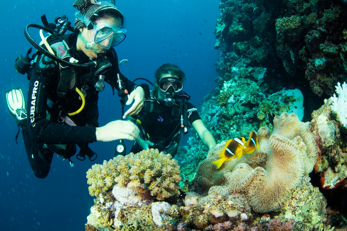 Dutch golf star Anne van Dam and Saudi Ladies International ‘Ladies First’ ambassador Mariam Fardous explore Saudi Arabia’s coral reefs. (Supplied)