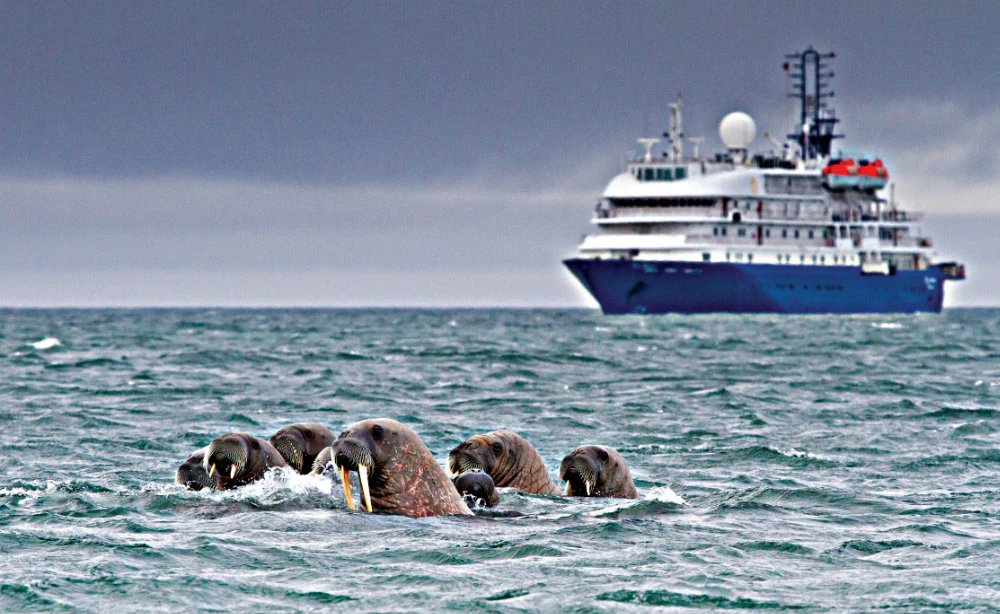 Green groups claim the UN ban on heavy fuel oil in the Arctic will have minimal environmental benefit. (Shutterstock)