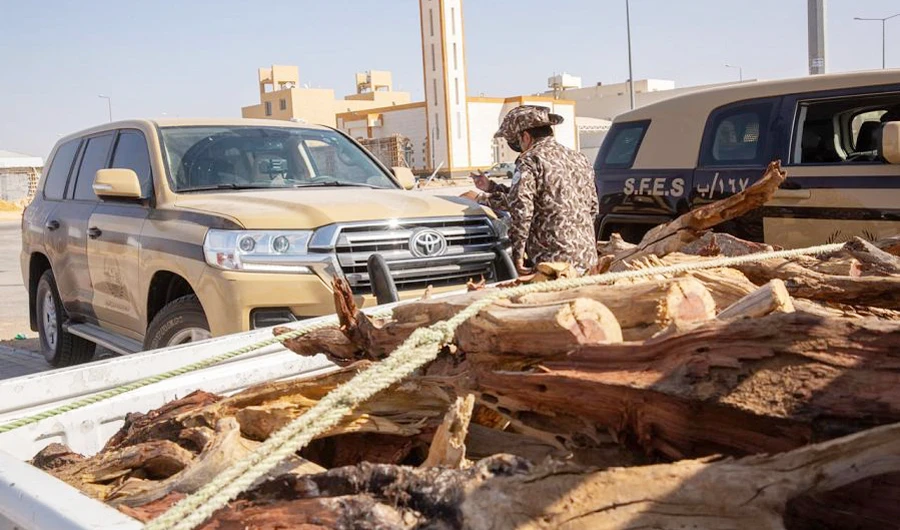 Saudi ministry seizes 120 tons of local firewood