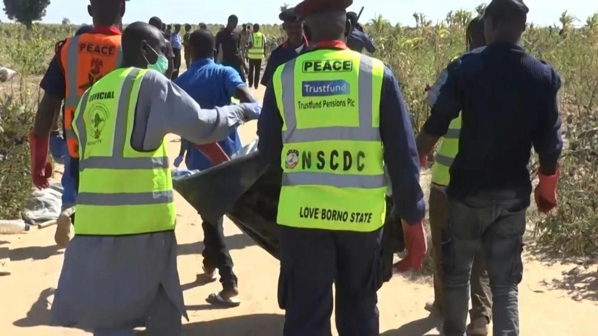 The Boko Haram attack was staged in a rice field in Garin Kwashebe, a Borno community known for rice farming. (AFP)