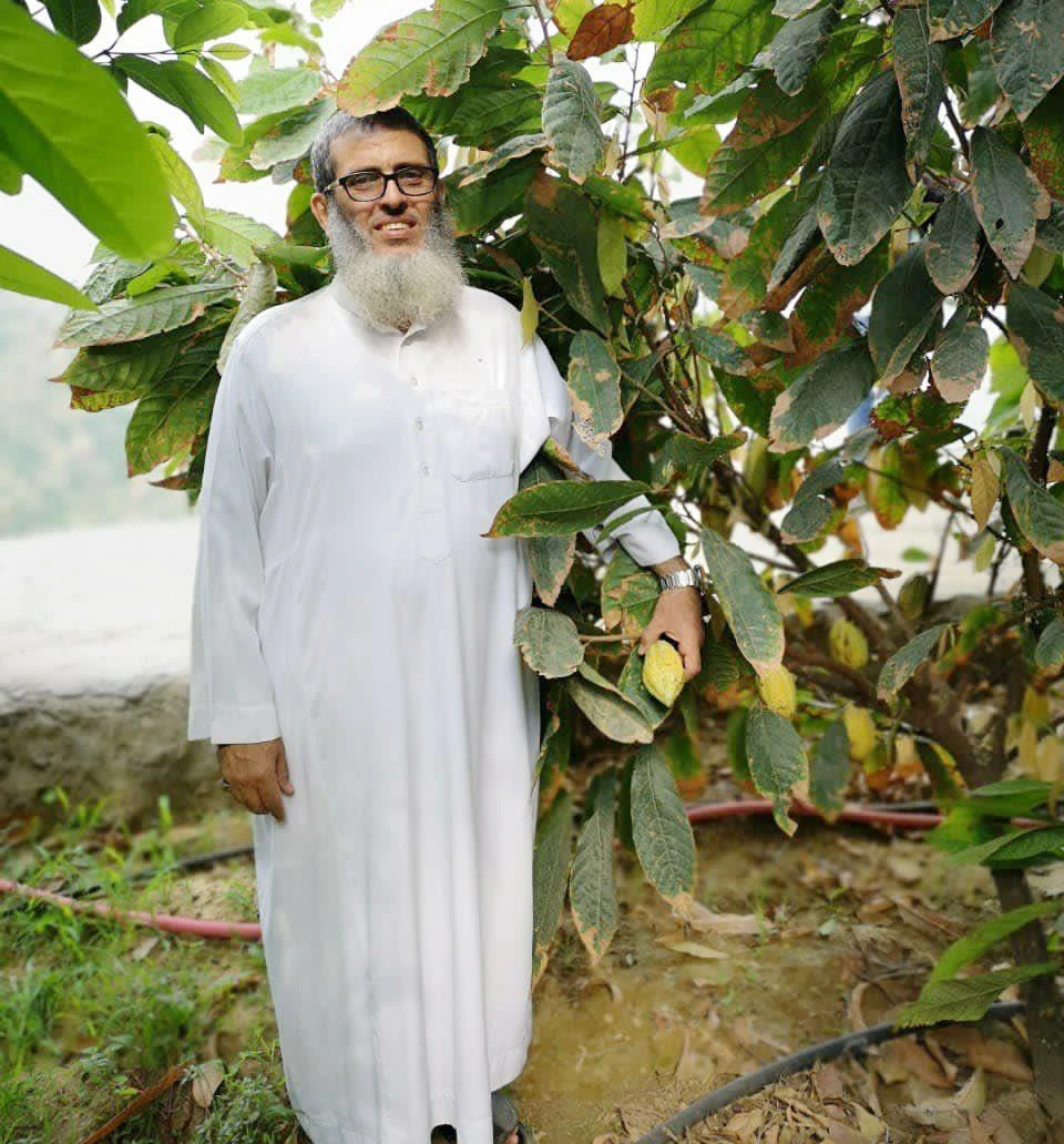 Experimental cocoa bean harvest: A sweet opportunity for Saudi Arabia