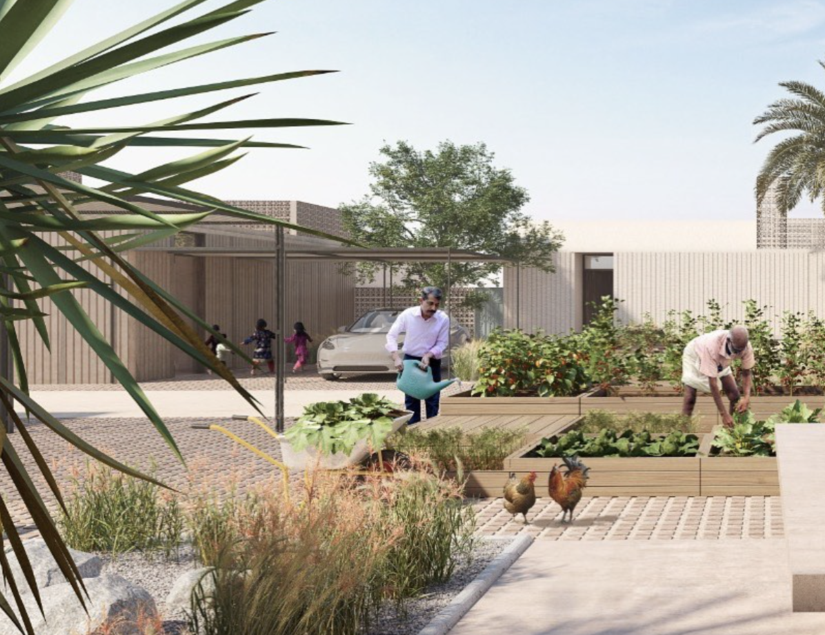 Emerging Cultural Infrastructure in the Gulf