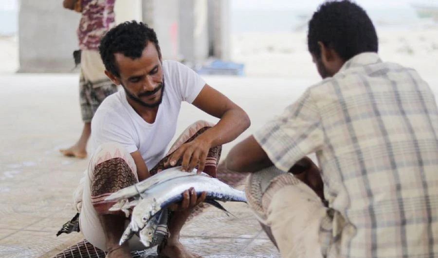 Saudi Arabia’s KSRelief, FAO join hands to support Yemeni families in fishing communities