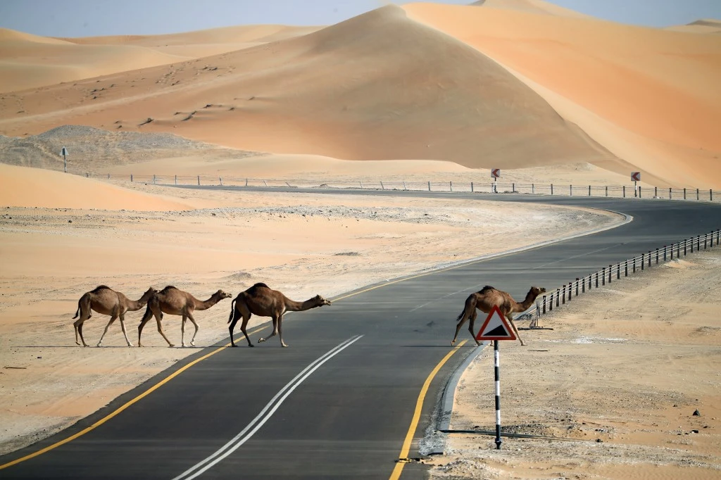 The Al-Dhafra Solar PV IPP, located around 35km from Abu Dhabi city, will be the world’s largest single-site solar power plant when finished. (AFP file photo)