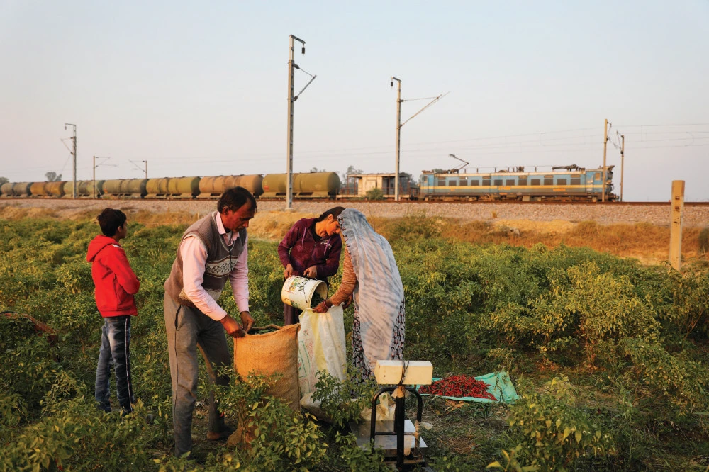 India’s fabled farmers fear what new law may reap